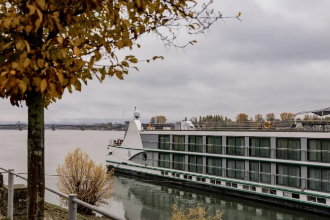 365-days-and-still-married-4