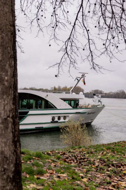 365-days-and-still-married-6