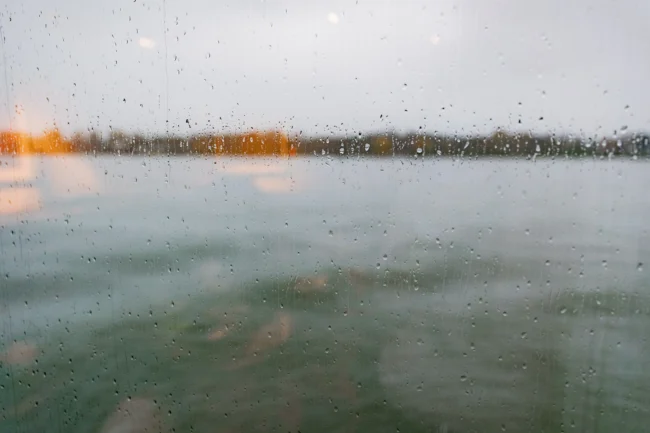 365-days-and-still-married-658